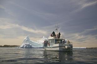 photo of newfoundland F76T8103