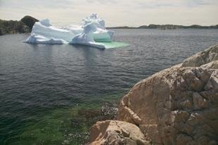 photo of newfoundland F76T8203