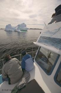 photo of newfoundland F76T8290