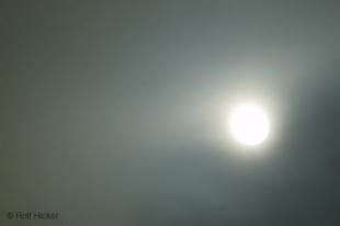 photo of Newfoundland F76T8784