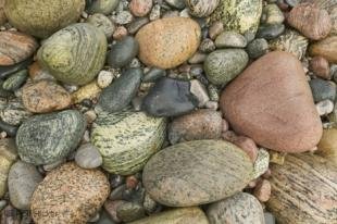 photo of newfoundland F76T8972