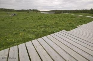 photo of newfoundland F76T9064