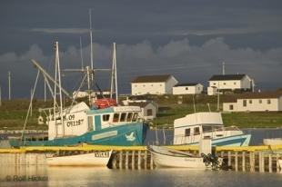 photo of newfoundland vacation