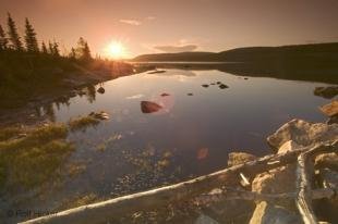 photo of newfoundland F76T9510