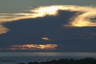 photo of newfoundland F76T9753