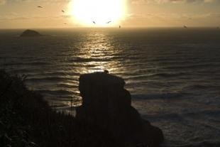 photo of Muriwai Beach Sunset New Zealand