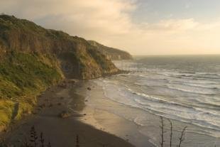 photo of Auckland Beach