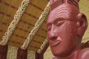photo of new zealand culture
