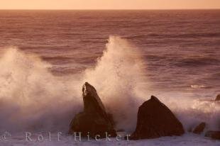 photo of Ocean Sunset Picture