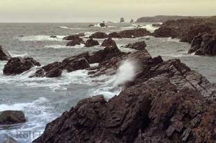 photo of ocean scenery