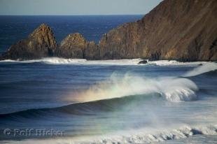 photo of Ocean Shore