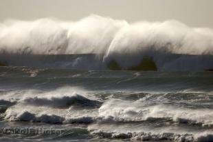 photo of ocean wave