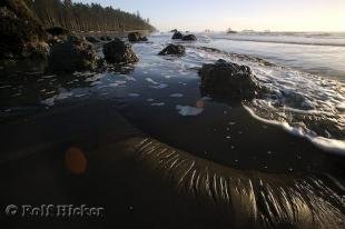 photo of Olympic National Park Beaches