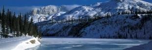 photo of winter wonderland pictures