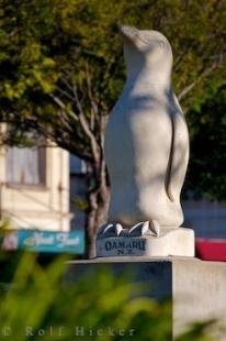 photo of Little Blue Penguin Statue