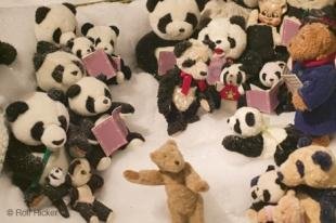 photo of Teddy Bear Pictures