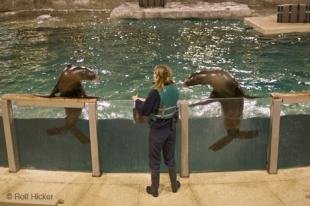 photo of edmonton attraction
