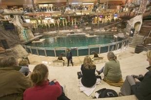 West edmonton mall exterior hi-res stock photography and images