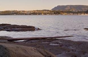 photo of Port McNeill Vacation