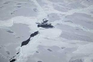 photo of Polar Ice Caps
