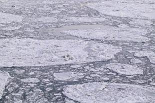 photo of quebec-F76T1125