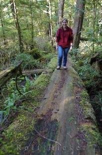 photo of Raft Cove Track