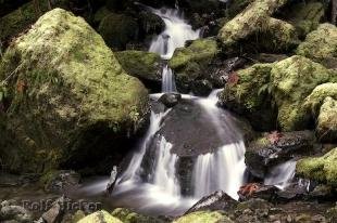 photo of rainforest waterfall