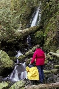 photo of Relaxation Waterfalls