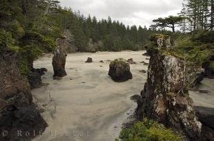 photo of San Josef Bay BC