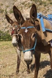 photo of santorini CRW 7050