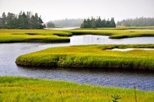 photo of Scenic Landscape Nova Scotia Picture