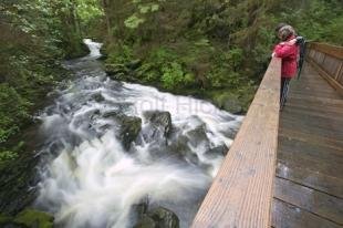 photo of Settlers Cove Ketchikan