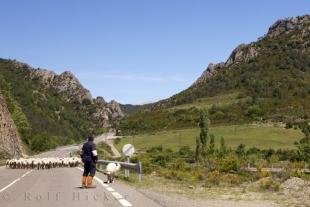 photo of Sheep Valley Anso Aragon Spain