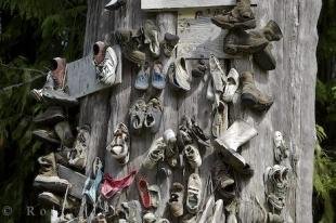 photo of Shoe Tree Exhibit
