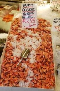 photo of Shrimp Picture
