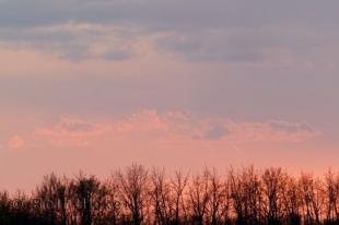 photo of colours