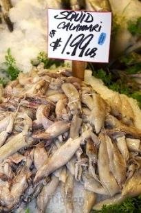 photo of Squid Calamari