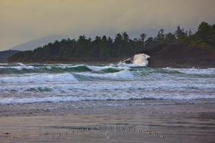 photo of Winter Storm Wave Action Pacific Ocean Coast