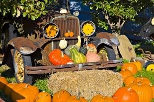 photo of Sweet Vintage Old Timer Car Pumpkin Display
