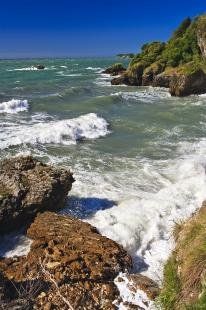 photo of Tasman Coastline South Island New Zealand