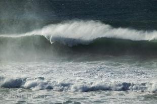 photo of tidal waves Oregon Coast