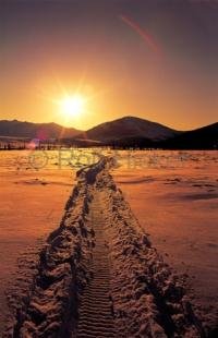 photo of Snow Pictures