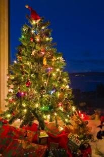 photo of Traditional Christmas Tree