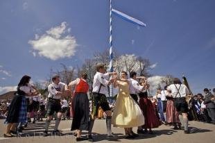 photo of Traditional Maibaum Celebration Bavaria