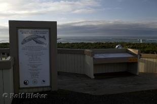 photo of Umpqua River Lighthouse Station Oregon Coast