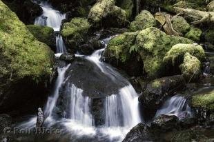 photo of Merriman Falls Waterfall Picture