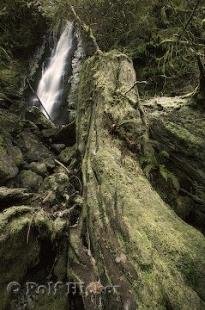 photo of waterfall washington