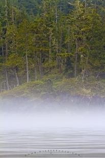 photo of Waterline Fog British Columbia Coastline