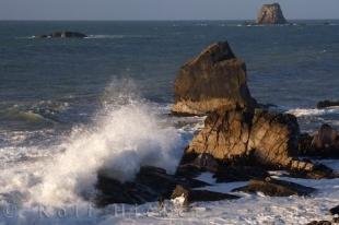 photo of New Zealand West Coast Wave Action