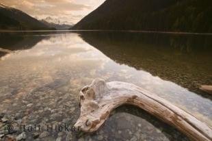 photo of wilderness adventure